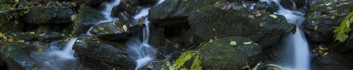 Vortex Water Revitalizer Testimonials